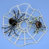 image:imageWikki Stix Trick or Treat Fun Paks are The Perfect NonCandy Halloween Treat Pak of 50 Made in The USA